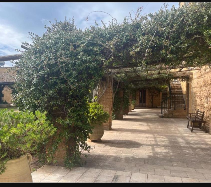 Masseria Sotto Le Stelle Provenzani Casalabate Kültér fotó